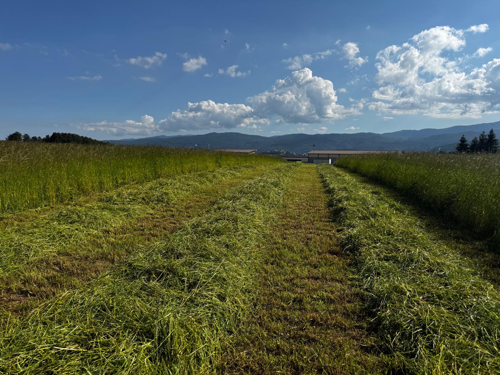 Vista panoramica - Terreni gestiti